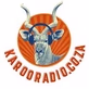 Karoo Radio logo