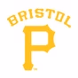 Bristol White Sox Baseball Network logo