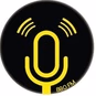 Radio Limite logo