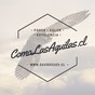 Radio Aguilas Chile logo