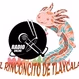 Radio Rinconcito de Tequexquitla logo