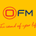 OFM Stasie2 logo