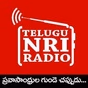 Telugu NRI Radio logo