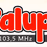 Radio Palupi Bangka logo