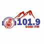Sobi FM 101.9 logo