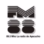 FM 88 logo