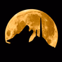 Radio Lobo.MX logo
