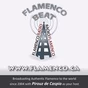 Flamenco Radio logo