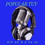 POPULAR TUY logo