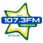 Star 107.3 - WMTA logo