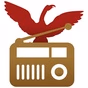 La Fenice Channel logo