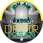 Radio Demir Hisar logo