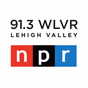 91.3 WLVR - WLVR logo
