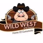 1640 A.M. America Radio - Wild West OTR Channel logo