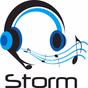 Storm North East logo