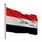 Araiqi nyroz logo