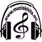 Muziekhits logo