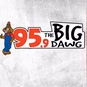 95.9 The Big Dawg - WICL logo