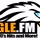 The Eagle logo