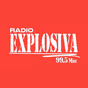 Radio Explosiva  99.5 logo