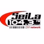 Seila 104.3 FM logo