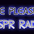 Simple Pleasures WSPR logo