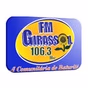 FM Girassol 106,3 logo