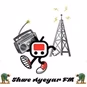Shwe Ayeyar FM logo