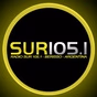 Radio Sur logo