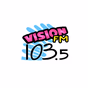 Radio Stereo Vision FM logo
