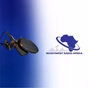 Investment Radio Africa logo