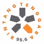 Radio Bintang Tenggara logo