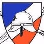 Cuerpo de Bomberos de Puerto Varas logo