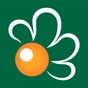 Radio Margherita logo
