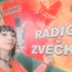 Radio Zvecka 97.7 logo