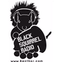 Black Squirrel Radio logo