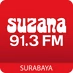 Suzana 91.3 FM logo