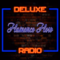 Deluxe Radio - Flamenco Flow logo