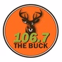 106.7 The Buck - WOKA-FM logo