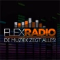 Flex Radio logo
