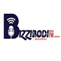 Bizzibodi 100.1 FM logo