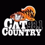 Cat Country 98.1 - WCTK logo