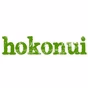 Hokonui Ashburton logo