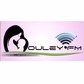 Radio Ouley FM logo