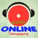 Radio Online Tulungagung logo