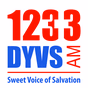 1233 DYVS - DYVS logo