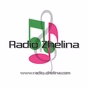 Radio Zhelina logo