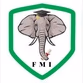 FMI Radio logo