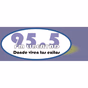 FM Libertad 95.5 FM logo