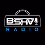 Bshv-Radio-Community - Partymeile Epe logo